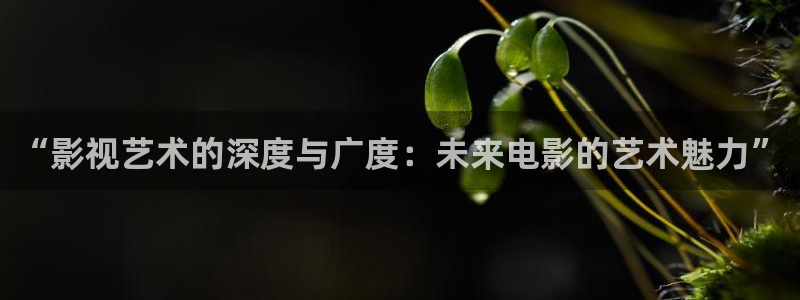 羞羞影院免费体验：“影视艺术的深度与广度：未来电影的艺术魅力”
