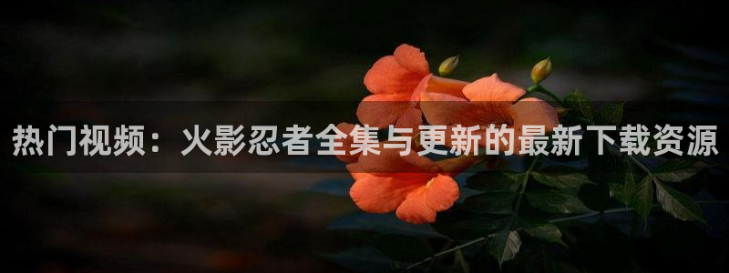 亚洲羞羞影院在线观看：热门视频：火影忍者全集与更新的最新下载资源