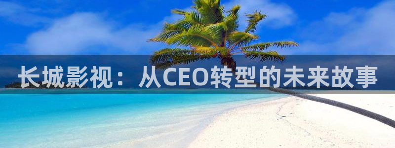 午夜羞羞影院：长城影视：从CEO转型的未来故事