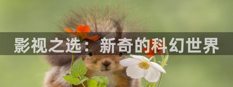 美女羞羞影院大全：影视之选：新奇的科幻世界