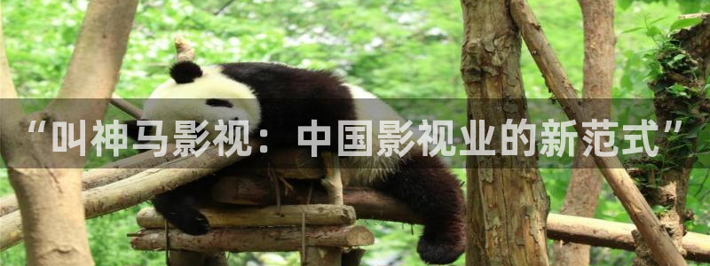 羞羞影院在线视频：“叫神马影视：中国影视业的新范式”