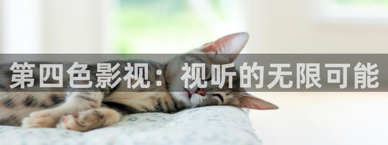 羞羞影院午夜男女爽爽：第四色影视：视听的无限可能