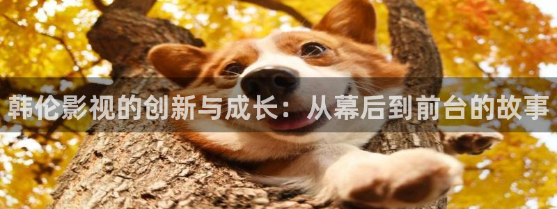 羞羞影院色：韩伦影视的创新与成长：从幕后到前台的故事